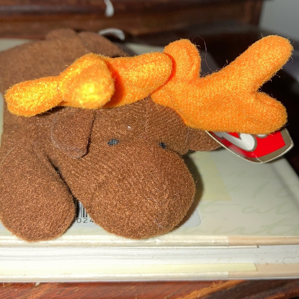 Teeny weenie chocolate moose beanie baby